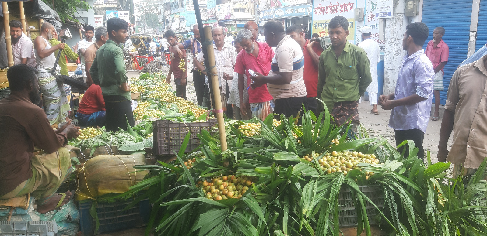 সৈয়দপুরে জমজমাট লটকনের বাজার